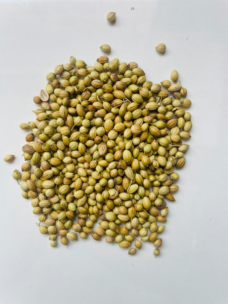 Whole Coriander.jpg